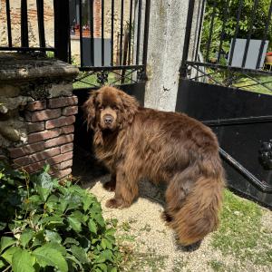 Château de la Saône, Gîte et chambres d'Hôtes, 5km de Hauterives, Palais idéal du facteur cheval, 26210 Lens Lestang