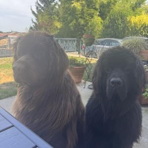 Château de la Saône, Gîte et chambres d'Hôtes, 5km de Hauterives, Palais idéal du facteur cheval, 26210 Lens Lestang