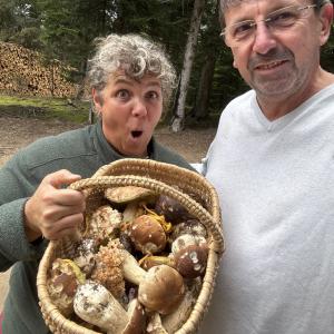 Château de la Saône, Gîte et chambres d'Hôtes, 5km de Hauterives, Palais idéal du facteur cheval, 26210 Lens Lestang